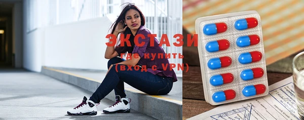стаф Дмитровск