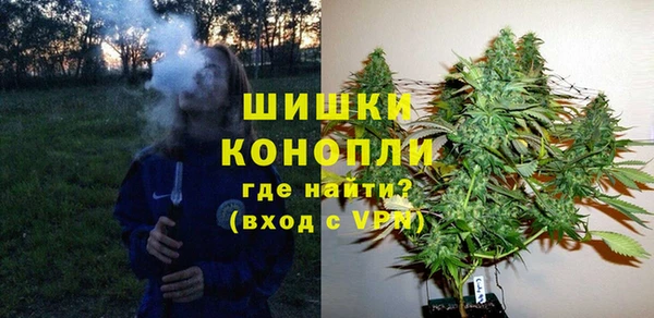 стаф Дмитровск