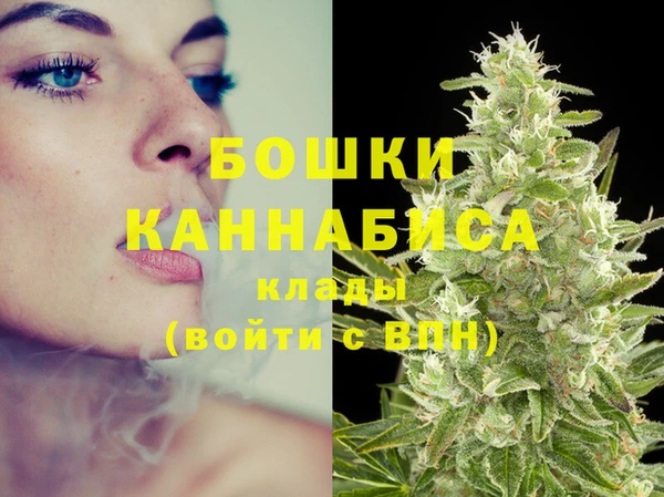 стаф Дмитровск